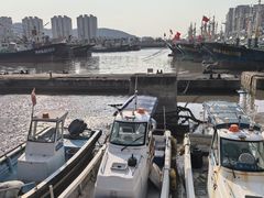-沈家门渔港