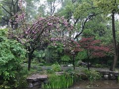 -南山植物园