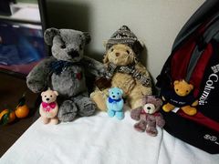 -济州岛泰迪熊博物馆