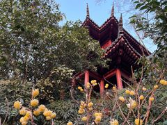 -白鹭洲公园