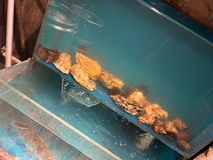 -桂马·日本料理·海胆·海鲜饭·酒场(民主广场店)