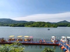 -佛手湖郊野公园