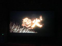-飞扬影城(正佳IMAX店)