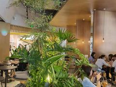 -gaga(深圳福田星河COCO Park店)