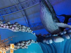 -烟台海昌鲸鲨海洋公园