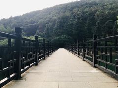 -九龙潭景区