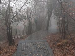 -紫金山山顶公园