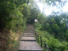 -火炉山森林公园