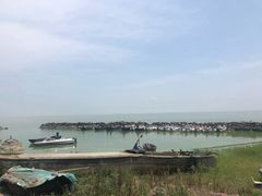 -巢湖姥山岛