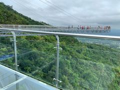 -呀诺达热带雨林