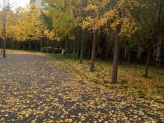 -西安理工大学(金花校区)