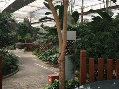 -汤山翠谷生态餐厅