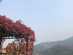 -葛子涧农家宴