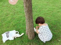 -同济大学(嘉定校区)