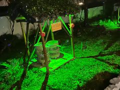 -木子山庄·安徽省老字号·中国炖锅宴