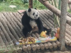 -大连森林动物园