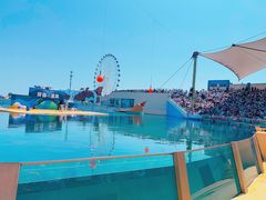 -秦皇岛乐岛海洋王国