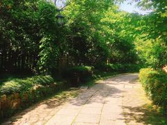 -法云古村