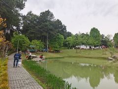 -铁山坪森林公园