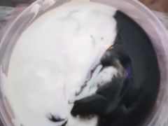 -鞠氏黑芝麻糊(水塔店)