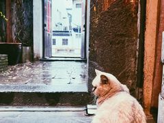 -普洱茶府(博乐广场店)