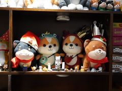 -逗柴咖啡屋·狗咖猫咖宠物桌游