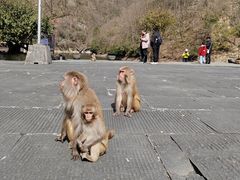 -武当山风景区