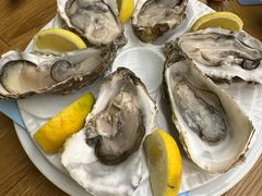 -NORDSEE Frankfurt Fisch Franke