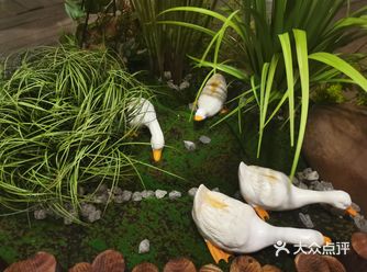 超级喜欢的音乐餐厅—胡桃里音乐餐厅