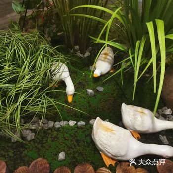 超级喜欢的音乐餐厅—胡桃里音乐餐厅