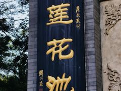 -莲花池公园