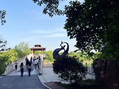 -东湖落雁景区