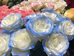 -爱尚幸福鲜花(上地实体店)