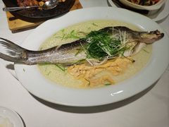 古法盐水蒸北江大禾顺鱼-山泉公馆酒家(广州东站店)