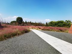 -下渚湖国家湿地公园科普馆