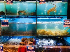 水产区-南海渔家•海鲜•正宗海南菜(海棠湾店)