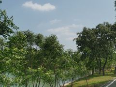 -金银湖国家城市湿地公园