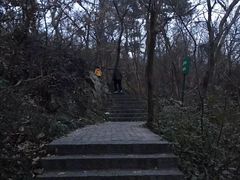 -紫金山天文台