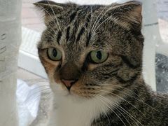 -平行世界·猫咖(首经贸店)