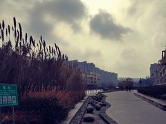 -李村大集