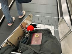 -青岛胶东国际机场