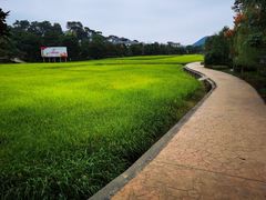 -韶山毛泽东同志故居