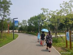 -东郊湿地公园