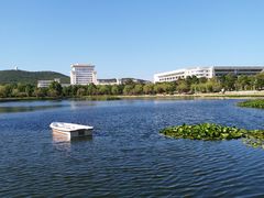 -山东大学(威海校区)
