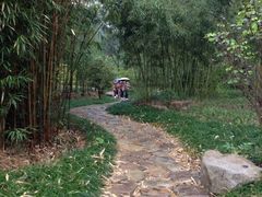 景点-黄公望隐居地