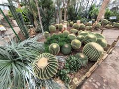 -北京植物园-展览温室