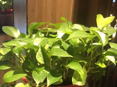 -燕郊烧鸽子(酷车小镇店)