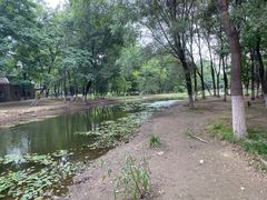 -长白岛森林公园