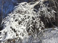 -多乐美地滑雪场