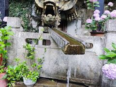 -黔灵山公园